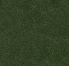 Линолеум Forbo Marmoleum Decibel on Order 335935 bottle green фото 1 | FLOORDEALER